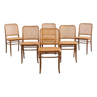Set of Six Thonet Bentwood Prague Dining Chairs by Josef Hoffmann For Sale