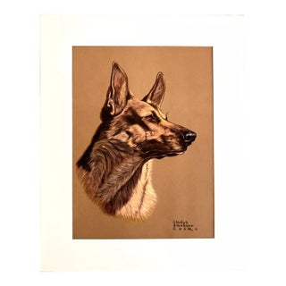Vintage 1947 Gladys Emerson Cook Dog Print in 16x20 Mat: The German Shepherd EUC For Sale