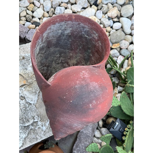 Ceramic French Terracotta Conch Seashell Planter For Sale - Image 7 of 9