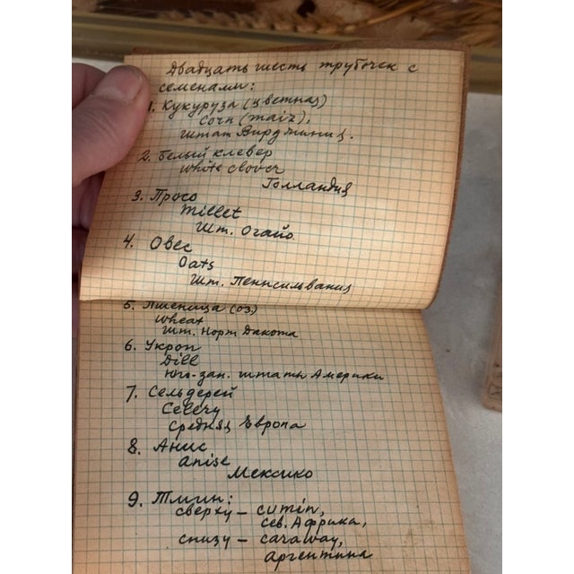 Vintage Lucite Scientific Display Case Seed Collection + Specimen Tray Notes For Sale - Image 17 of 17