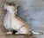 Paint 1920-1930 Original Painted Scotty Dog For Sale - Image 7 of 7