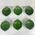 Vintage Green Artichoke Leaf Salad Bowls, 1970s, Set of 7 For Sale - Image 16 of 18
