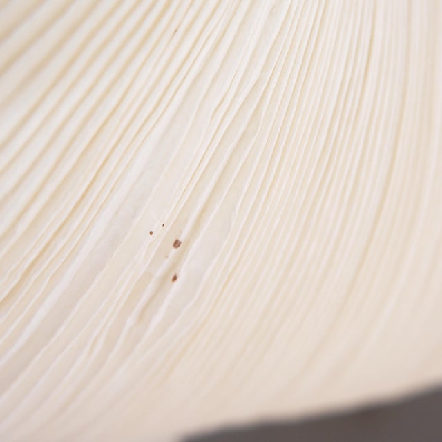 Yoruba Rose Table Lamp by Dagmar Mombach & Ingo Maurer for Ingo Maurer, 2010s For Sale - Image 11 of 18