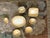 Antique Italian Grand Tour Plaster Intaglios - Set of 7 (Group #7) For Sale - Image 12 of 12