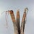 Early 20th Century Early 20th Century Tutsi Basket Rwanda For Sale - Image 5 of 8