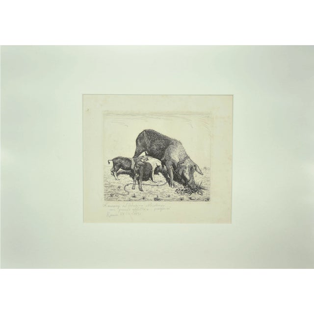 The sow and her calves is an original drawing in etching technique on paper glued on ivory-colored cardboard, signed by...