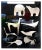 Italian Black Acrylic Glass Decorative Panel with Animal by Lino Sabattini, 1980s For Sale