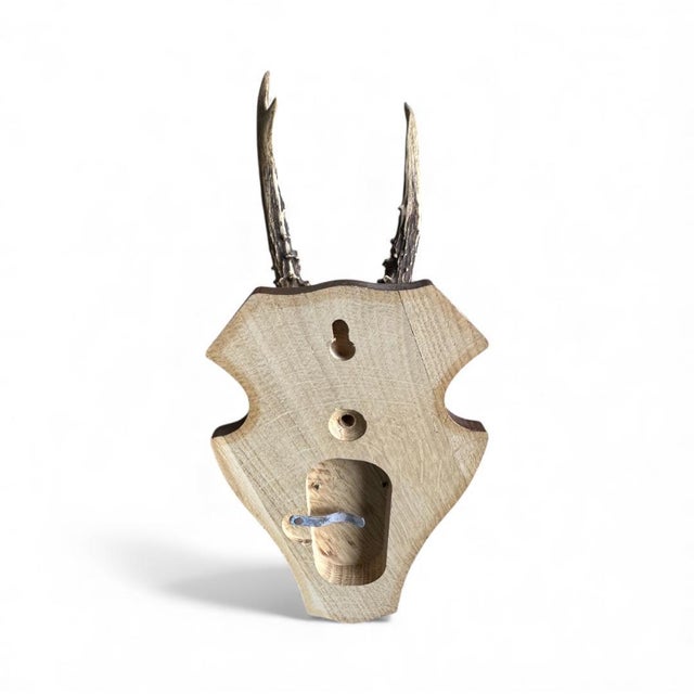 1980s 1980s Roe Deer Trophy 24 Black Forest Antlers Mount For Sale - Image 5 of 5