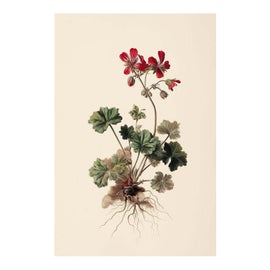 Example of Art Sale