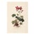 8" X 12" 'Geranium Robertianum' - Botanical Herbarium Watercolor & Pencil Flower Print For Sale