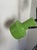 Apple Green Anvia Floor Lamp For Sale - Image 3 of 13