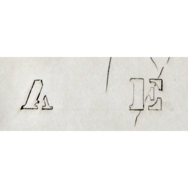 1989 "A E" Portrait of Albert Einstein #7 Collotype Print by Lilya Vorobey For Sale - Image 4 of 4