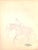 Traditional Original 1944 Pencil Drawing From Hi, Guy! The Cinderella Horse by Paul Brown 37 For Sale - Image 3 of 6