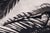 Contemporary Fine Art Photograph | Signed Original Limited Edition of 5 | "Basking in Shadow" Contemporary Figurative Nude Woman by Aaron Knight For Sale - Image 3 of 5