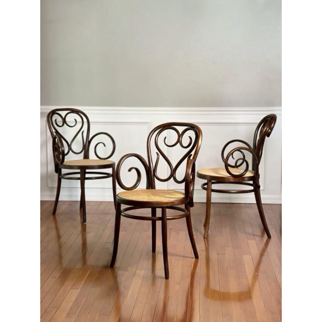 Italian Bentwood Thonet Cafe Daum Style Armchairs by Salvatore Leone, Set of 3 For Sale - Image 17 of 18