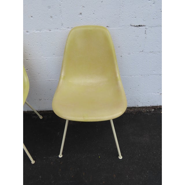 Herman Miller Eames Set of 3 Fiberglass Shell Chairs 1960s Light Yellow 6640 For Sale - Image 9 of 18