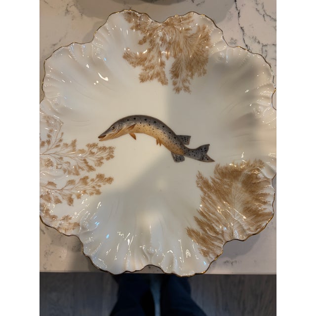 Metal Antique Plates Limoges Gold Rimmed (14 Piece Set) For Sale - Image 7 of 17