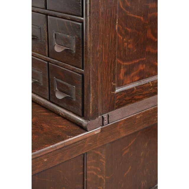 Pharmacy Display Cabinet from Globe Wernicke, 19th Century For Sale - Image 13 of 15