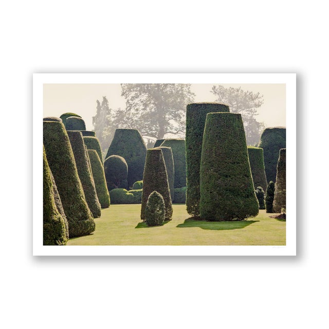 Contemporary Guy Sargent, Le Jardin IV, Photograph For Sale - Image 3 of 6