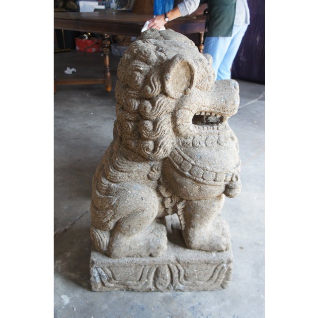 Late 20th Century Vintage Chinese Concrete Foo Dogs Guardian Lion Statues A Pair Chairish