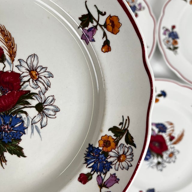 Vintage Agreste Dinner Plates from Sarreguemines, 1980s, Set of 6 For Sale - Image 9 of 14