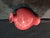 Chinese Ceramic Vase,Kangxi Marked Red Glaze Porcelain Plum Vase For Sale - Image 9 of 11