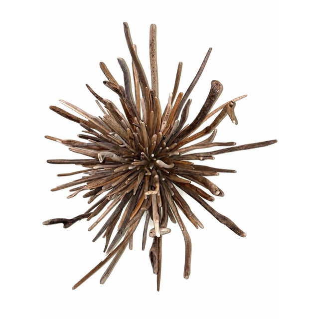 Tideborn Lotus ~Driftwood Sculpture For Sale - Image 4 of 6