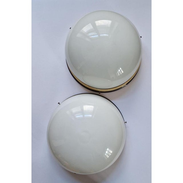 Mid-Century Ceiling Lamps, 1950s For Sale - Image 15 of 18