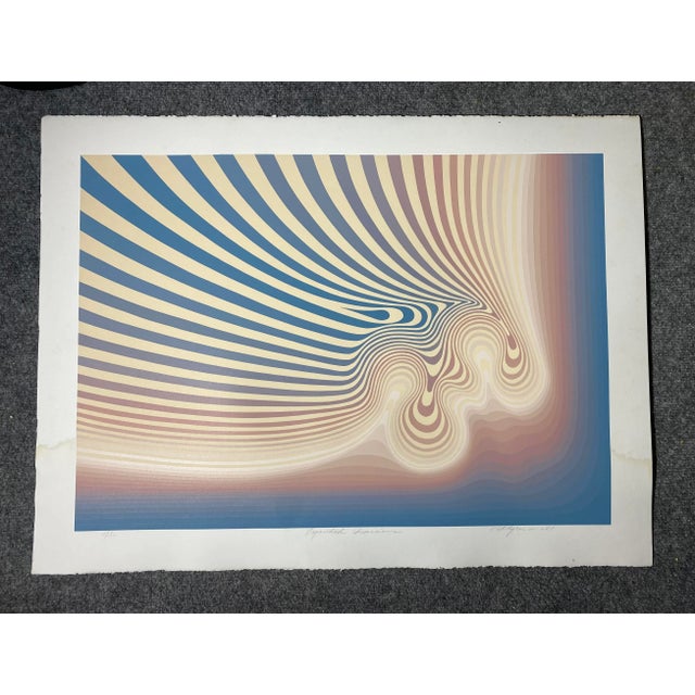 Printmaking Materials 1981 Roy Ahlgren “Expanded Inversions” Op Art Serigraph For Sale - Image 7 of 7