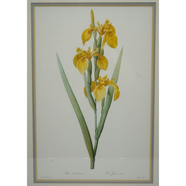 Traditional Set of 3 Floral Engraving Prints For Sale - Image 3 of 12
