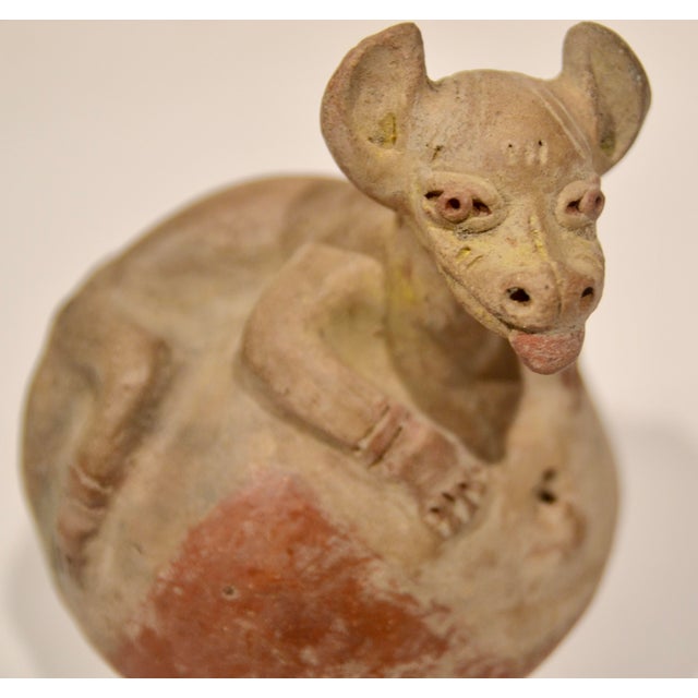 15th Century & Earlier Pre Columbian Terracotta Animal Whistle For Sale - Image 5 of 10