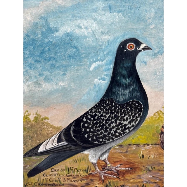 Circa 1930 British Folk Art Champion Racing Pigeons Oil Painting Old Badge Hen & Holley Brothers Trophy Portrait with...