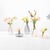 The 6.4oz-capacity vase from the "A Flower" collection is a small work of craftsmanship made of lightweight borosilicate...
