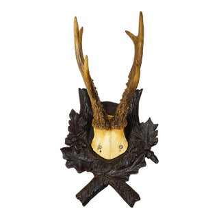 Antique Red Deer Trophy on Carved Plaque, Black Forest, Germany 1900 For Sale