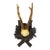 Antique Red Deer Trophy on Carved Plaque, Black Forest, Germany 1900 For Sale