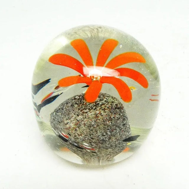 Glass Vintage Polish Paperweight, 1950s For Sale - Image 7 of 8