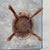 French Style Rococo Revival Walnut Side Table For Sale - Image 12 of 17