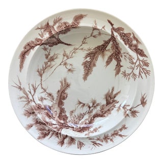 Antique Wedgwood Brown "Seaweed" Transferware Soup Bowl - #8 of 8 Listed For Sale