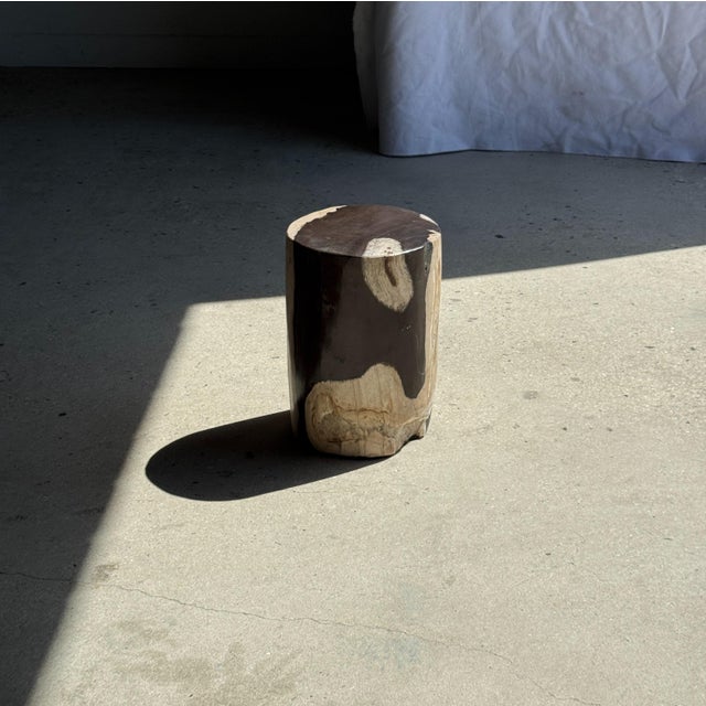Small Side Table in Black and White Petrified Wood, 1980s For Sale - Image 13 of 18