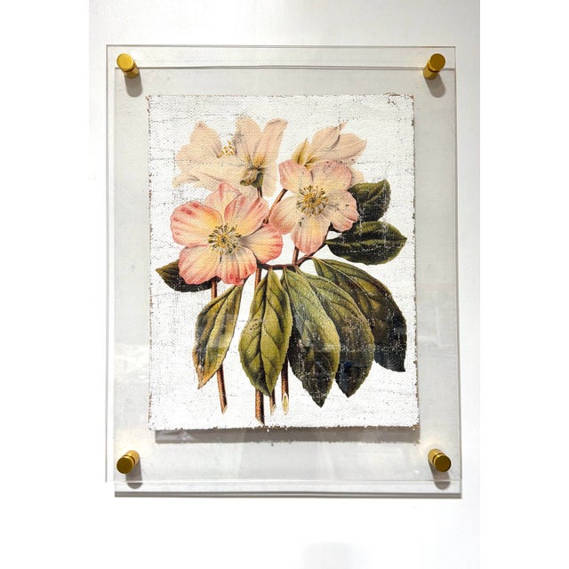 Pink and Cream Flowers - Hand Textured Pink Flowers For Sale - Image 9 of 10