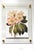 Pink and Cream Flowers - Hand Textured Pink Flowers For Sale - Image 9 of 10