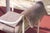Metal Vidalenta Outdoor Dining Chair by Patricia Urquiola for Cassina For Sale - Image 7 of 16