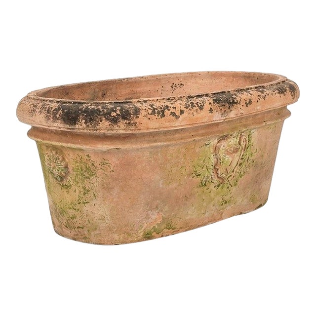 Vintage Italian Tuscan Style Terracotta Oval Planter Trough With Mascaron Relief For Sale