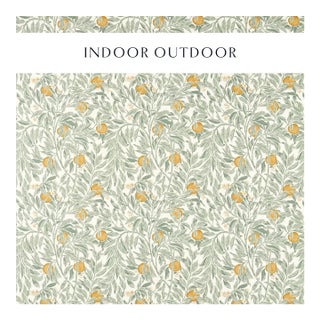 Sanderson Ancient Apple Orchard Fabric in Golden Knot & Sage For Sale