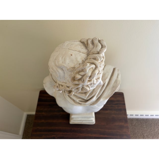 Late 20th Century Large Neoclassical Plaster Bust of Apollo Belvedere For Sale - Image 12 of 12