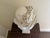 Late 20th Century Large Neoclassical Plaster Bust of Apollo Belvedere For Sale - Image 12 of 12