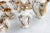 Coffee service in capodimonte porcelain and gold zecchino composed of six cups, milk jug, sugar bowl and coffee pot.