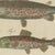Bertuch, Five Trout with Salmon Trout and Alpine Char, 1805, Print For Sale - Image 6 of 12