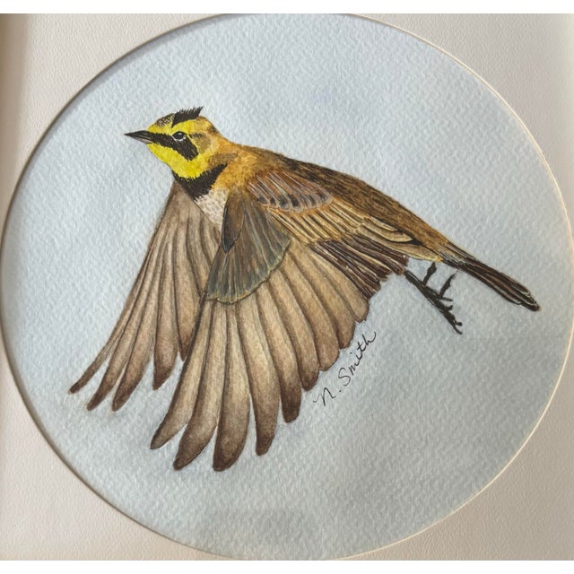 This original watercolor painting features a Horned Lark captured mid-flight, its wings fully extended in a graceful,...