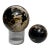 Two Polished Petrified Wood Organic Spheres. For Sale